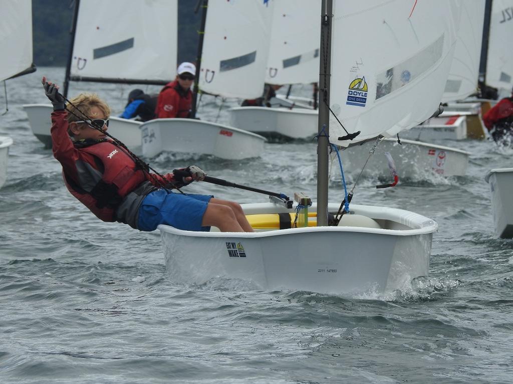 One little sailor fighting himself into the gold fleet - Interislander Optimist Challenge 2017 and Port Marlborough Starling regatta © Agnes Takacs